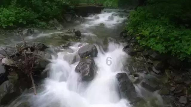 高考恋爱100天